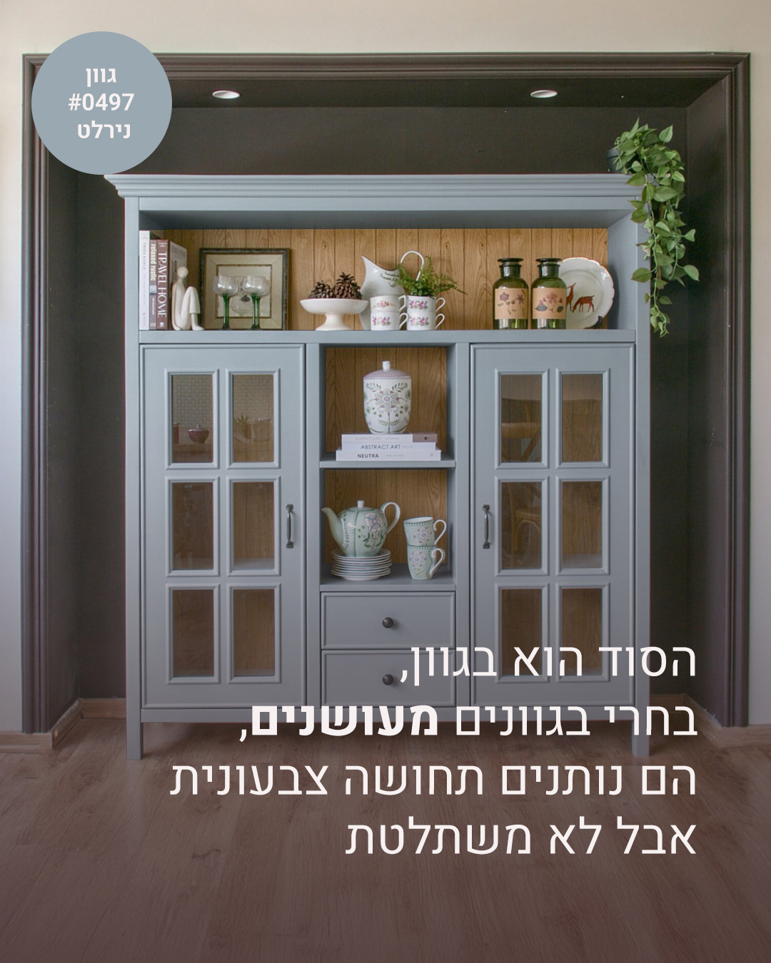 ספריית אמילי תכלת